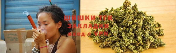 амф Алзамай