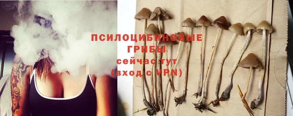 прущие грибы Алексин