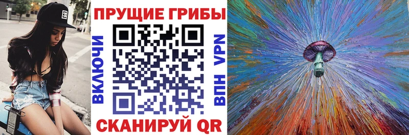 Галлюциногенные грибы Magic Shrooms  Купить где  Снежинск 